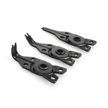 4 Delig borgveertang - Stein2