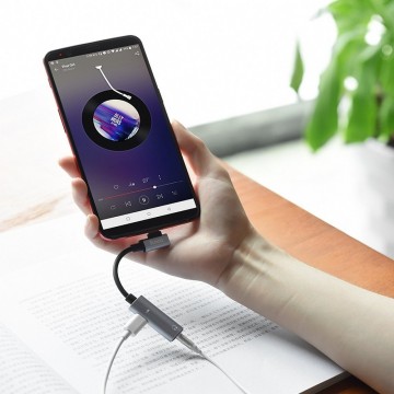 USB-C adapter - naar mini jack + USB-C - LS19