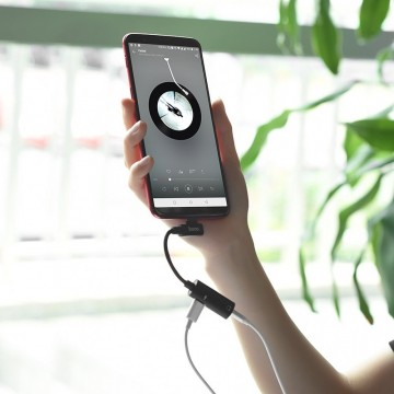 USB-C adapter - naar mini jack + USB-C - LS19