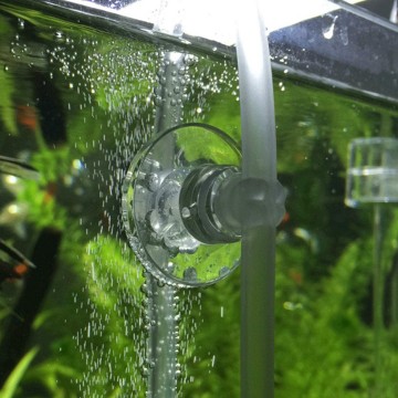 Zuignap 24mm - Met bevestigingsclip 