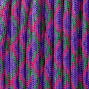 Rol 100 meter - DragonFly Paracord 550 - #30