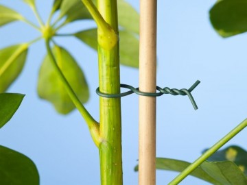 Geplastificeerde binddraad - 2.0mm - 100 meter op rol