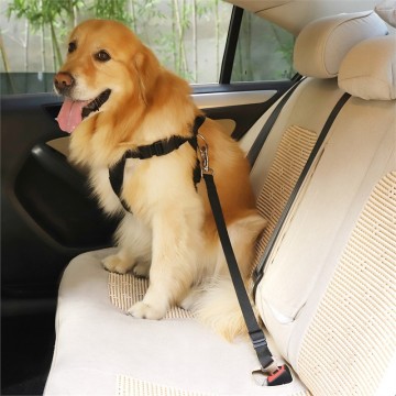 Auto gordel voor dieren - honden en katten