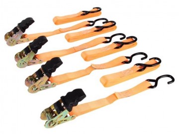 Set met spanbanden - 5 meter - 500kg - 4 stuks 