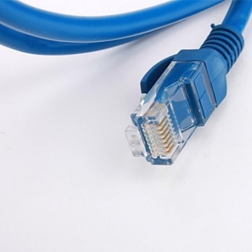 3M CAT5e RJ45 UTP Ethernet Netwerk Kabel - Blauw