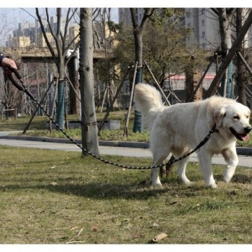 Engplreflective training leash 5m purlov 21655 16654511