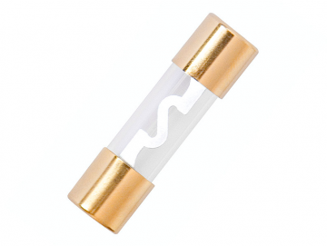 Glaszekering 20A - 4 stuks