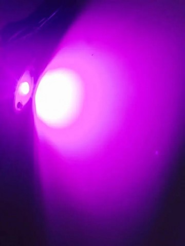 Mini LED spotverlichting - UV - 10mm - 12/24V