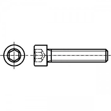 M3 Inbusbout - 3 x 5mm - klasse 8.8 - gegalvaniseerd - metrisch - DIN 912