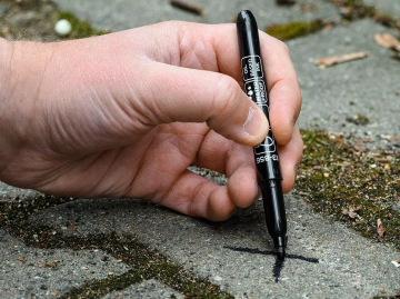 Screen shot 11 08 24 at 1113 am 004