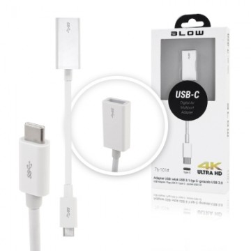 USB-C 3.1 naar USB 3.0 Adapter Wit