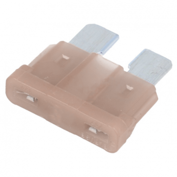 steekzekering 2A - 10 stuks